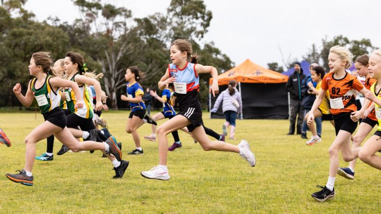 Kids in running hear with numbers pinned to their tops compete in a cross country race.