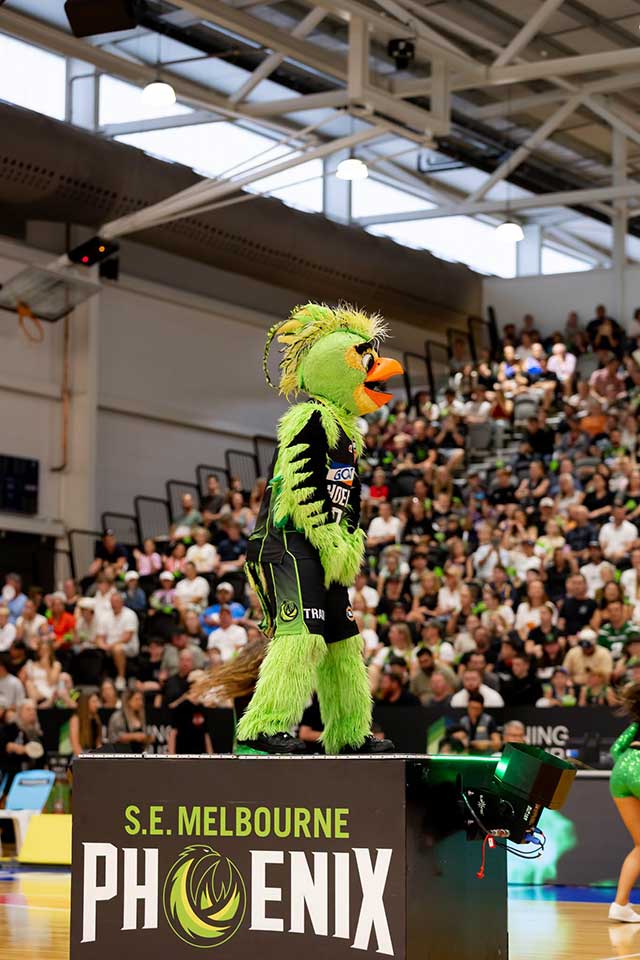 The South East Melbourne Phoenix mascot, a green bird wearing club shorts and a tshirt, stands on top of a box bearing the team logo.